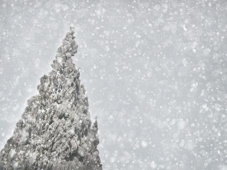 冬の景色 2 冬の景色 2 クリスマスツリー,クリスマス,雪の写真素材