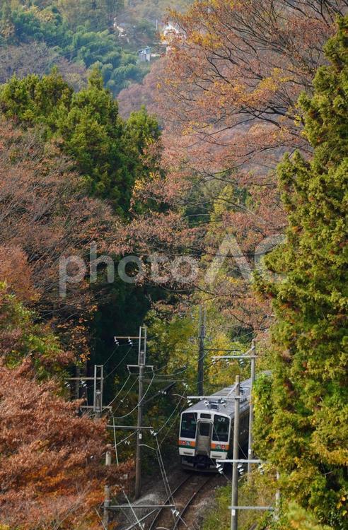 諏訪峡の紅葉と上越線 自然,交通,風景の写真素材