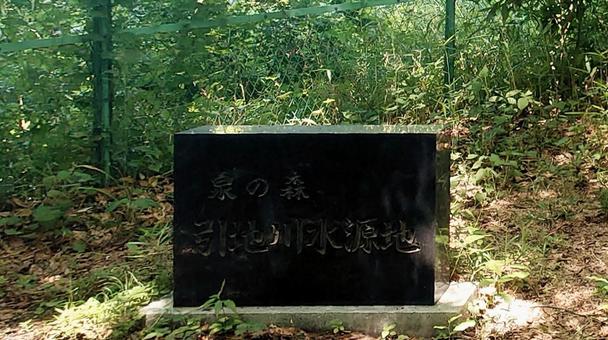 引地川 源流 水源地 神奈川県大和市 引地川 源流 水源地 神奈川県大和市の写真