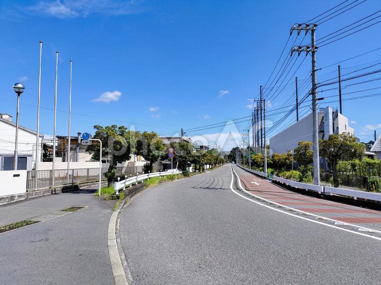 追浜夏島　横須賀スタジアムと日産前の通り 追浜,夏島町,日産自動車の写真素材