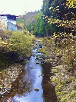 十津川村の川と林 十津川村,川,林の写真素材