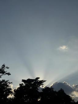 夕方の夏空 夕方の夏空の写真