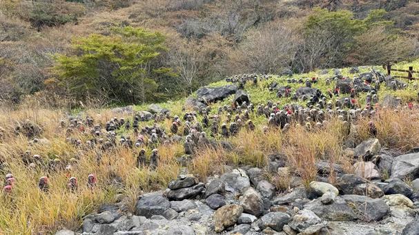 殺生石1 殺生石,要石,岩の写真素材