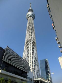 スカイツリー スカイツリー スカイツリー,シンボル,気持ちいいの写真素材