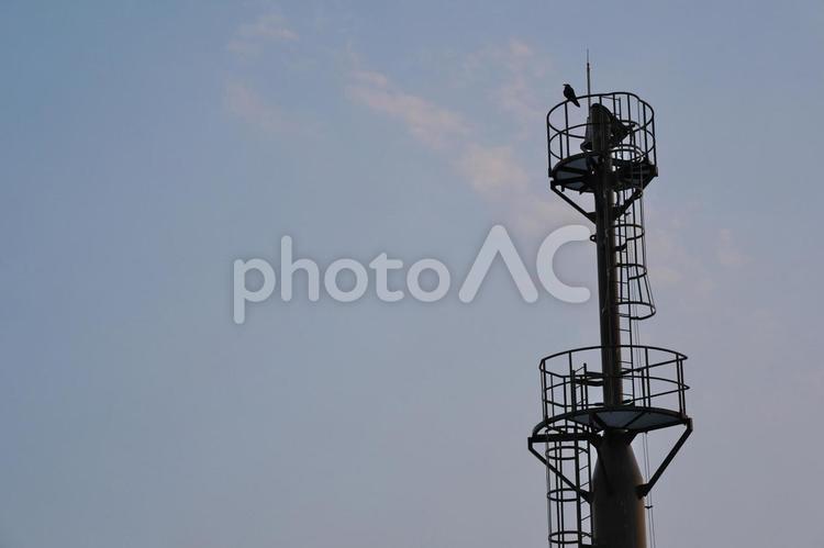 鉄塔にとまるカラス カラス,烏,鳥の写真素材