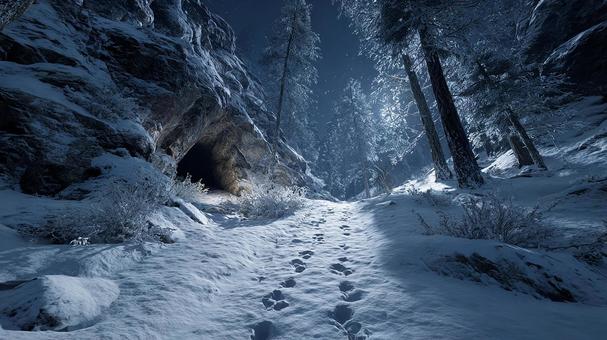 月明かりに照らされる雪道 月明かりに照らされる雪道の写真