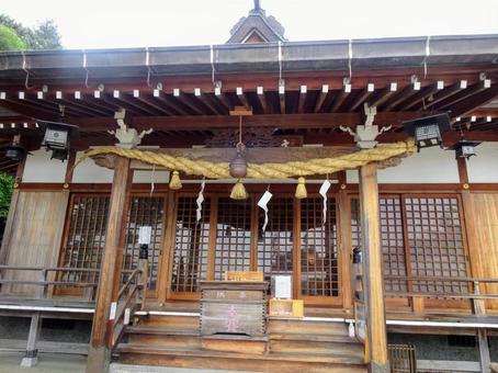 若宮住吉神社 若宮住吉神社 若宮住吉神社,住吉神社,若宮の写真素材