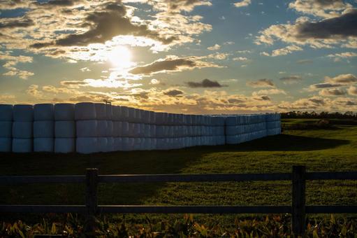 夕日を浴びる積み上げられた牧草ロール 丘,空,牧草ロールの写真素材