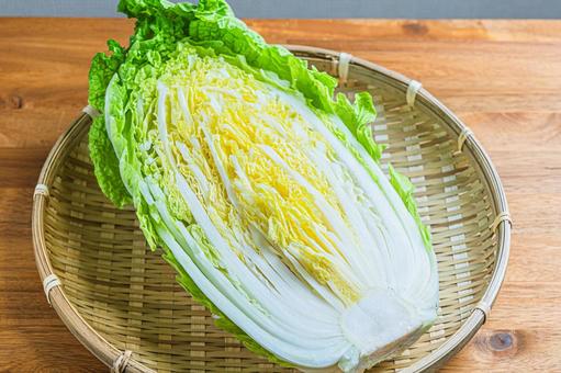 白菜 1/2カット はくさい,野菜,冬野菜の写真素材