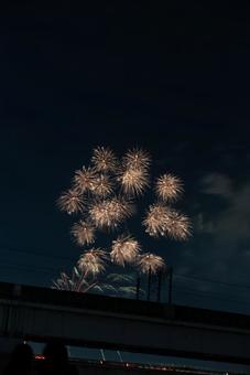 夜空を彩る打ち上げ花火 花火,夜空,打ち上げ花火の写真素材