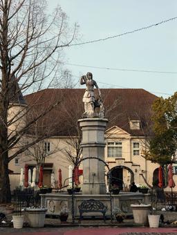 ドイツの森の写真