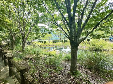 Photo, shimokitayama village, nara prefecture, outdoor, hot spring, 