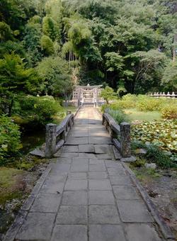 月照寺 松江 月照寺 松江 の写真