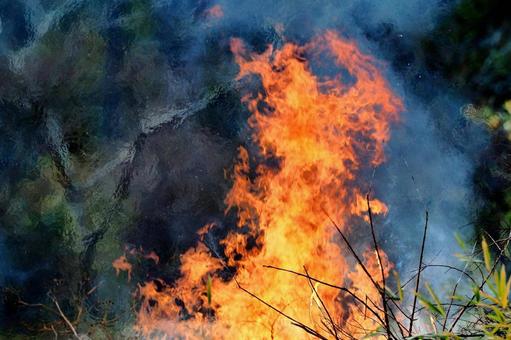 野焼き 田んぼ,農家,燃えるの写真素材