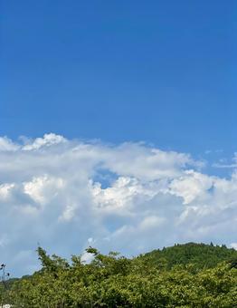 空の声を聴く 青空,青,空の写真素材