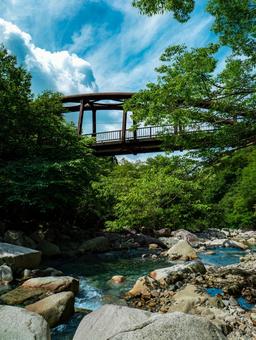 ユーシン渓谷 ユーシン渓谷 夏,自然,風景の写真素材