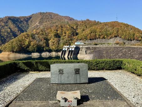 秋の福井県の九頭竜ダム　紅葉に色づく湖 秋,道路,晩秋の写真素材