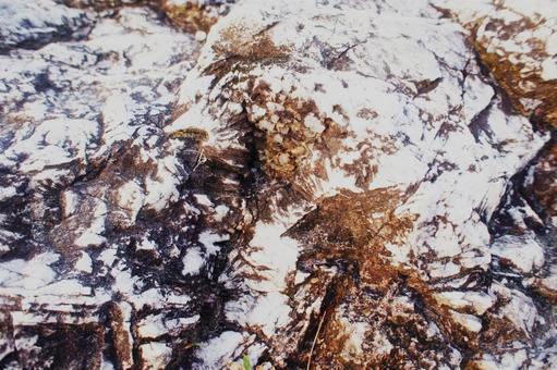 Photo, rock, crystal, moss, 