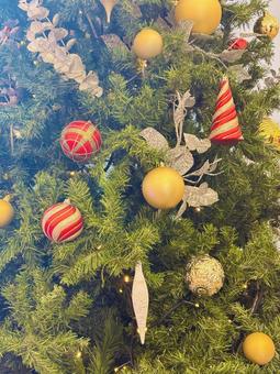 クリスマスツリー クリスマス,クリスマスツリー,ツリーの写真素材