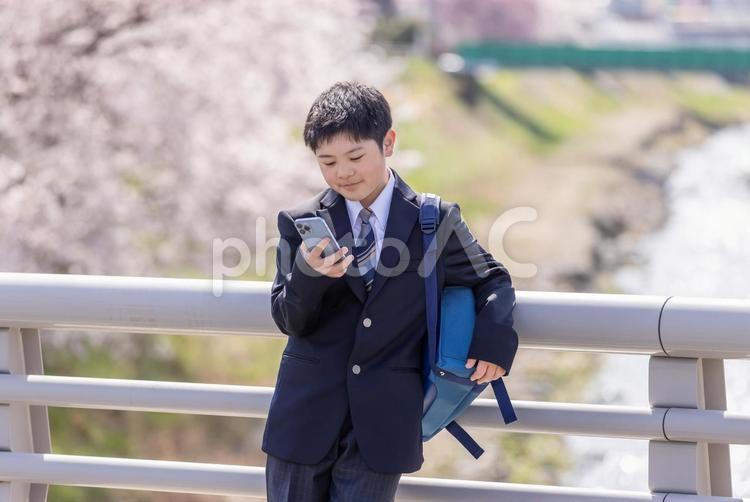 スマホを見る男子学生 学生,男子学生,スマホの写真素材