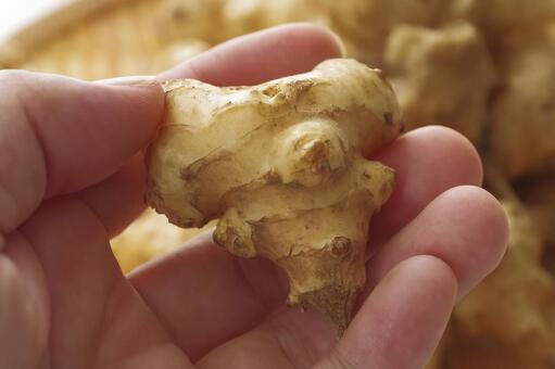 健康と美容に嬉しいスーパーフード菊芋 菊芋,根菜,スーパーフードの写真素材