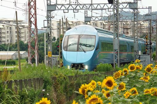 ひまわりと特急電車 ひまわりと特急電車 風景,植物,ひまわりの写真素材