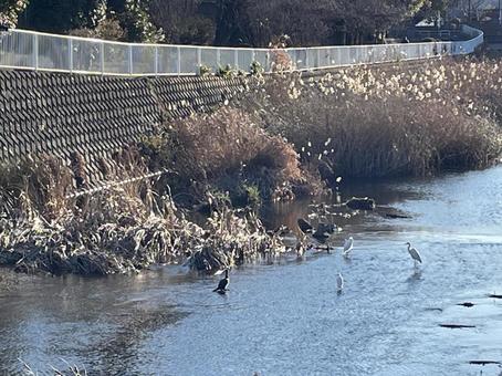 平戸永谷川　風景の写真