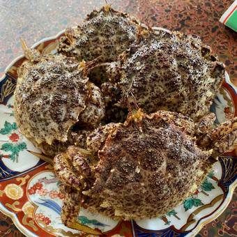 Photo, crigy, crab, shell, 