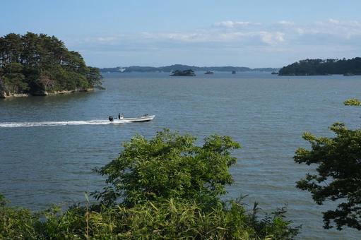 松島 松島,日本三景,木の写真素材