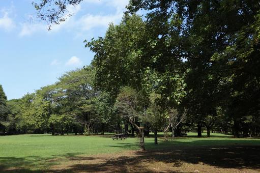 千葉県　柏の葉公園 柏の葉公園,公園,自然の写真素材
