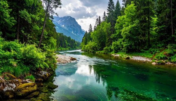 緑鮮やかな川 緑鮮やかな川の写真