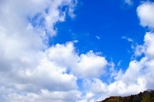 青空 青空の写真