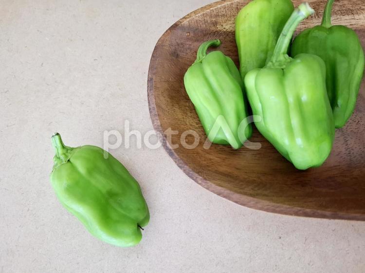 採れたてピーマン_3 夏野菜,野菜,ピーマンの写真素材