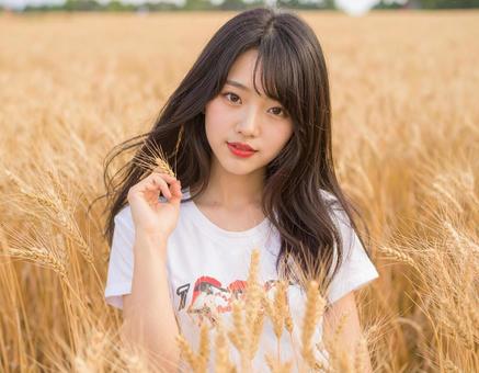 小麦畑の中での写真