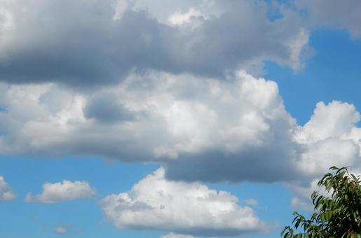 【風景写真】夏空 【風景写真】夏空の写真