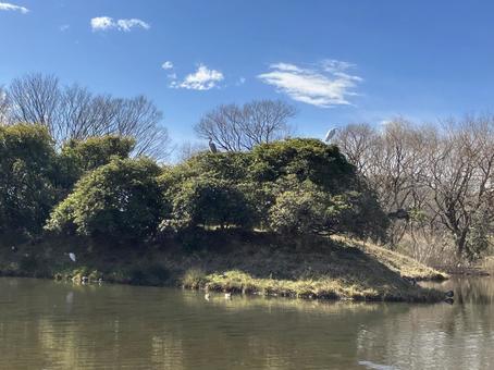 湖と小島の写真