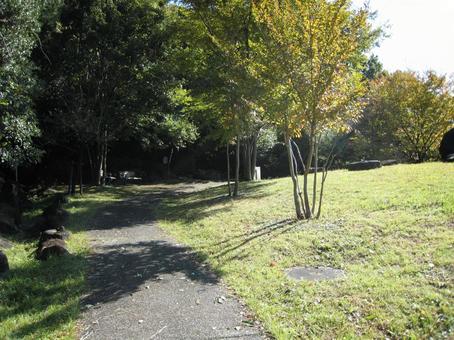 公園 公園の写真