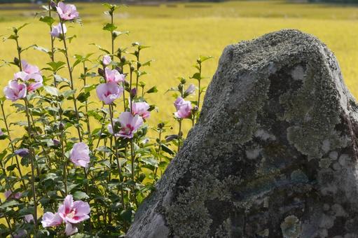 道祖神と秋の農村 道祖神と秋の農村の写真
