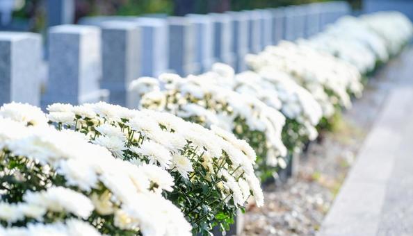 お供えの花が飾られた日本のお墓・お墓参り お供えの花が飾られた日本のお墓・お墓参りの写真