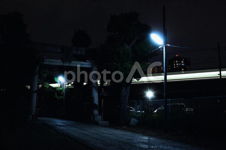 夜の参道のイメージ背景素材 背景,ホラー,街灯の写真素材
