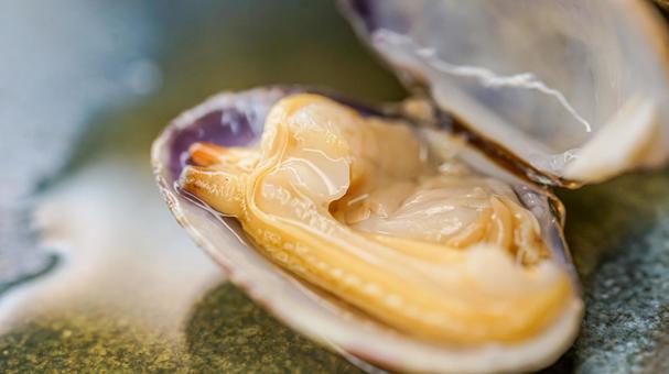 アサリ（食品.魚貝類） アサリ,浅蜊,蛤仔の写真素材