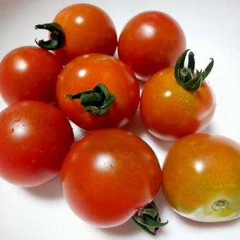 ミニトマト３の写真