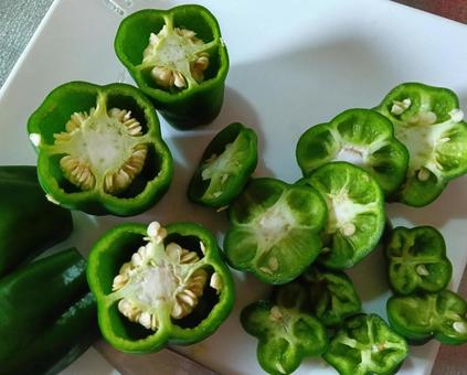 ピーマンのヘタ（輪切り断面） ピーマン,ヘタ,野菜の写真素材