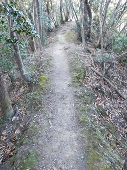 登山道の写真