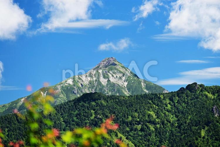 福地山から見える夏の笠ヶ岳 山,空,背景の写真素材