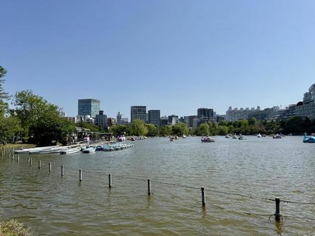 ゴールデンウィークの上野 不忍池 ゴールデンウィークの上野 不忍池の写真