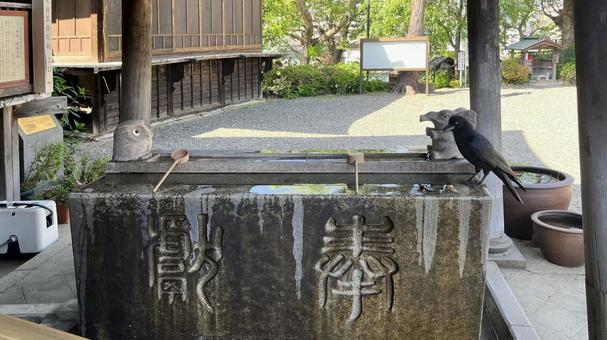 坂東33観音 14番 弘明寺 手水舎の烏 坂東33観音 14番 弘明寺 手水舎の烏の写真