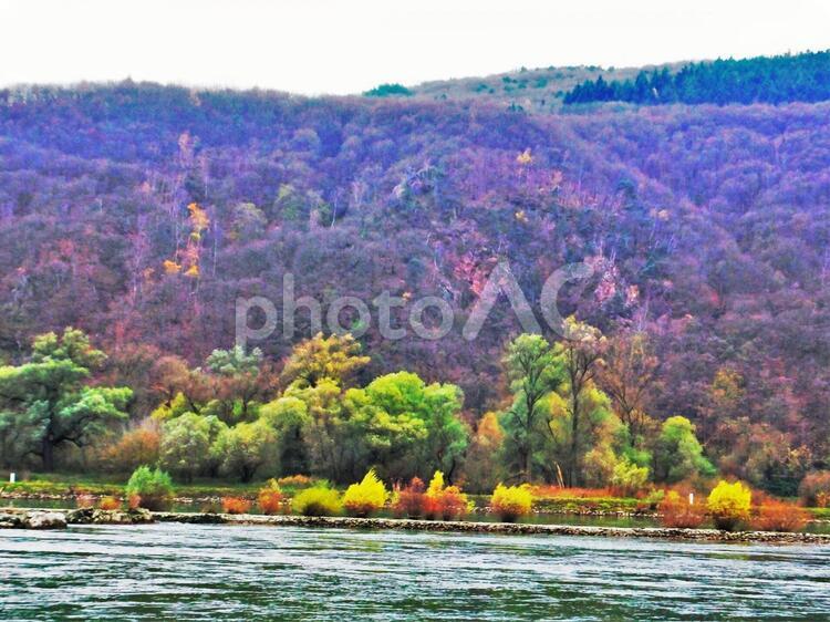 １２月のライン川 世界遺産 ライン川,ライン川クルーズ,１２月の写真素材