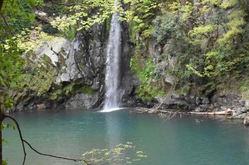 滝 滝の写真