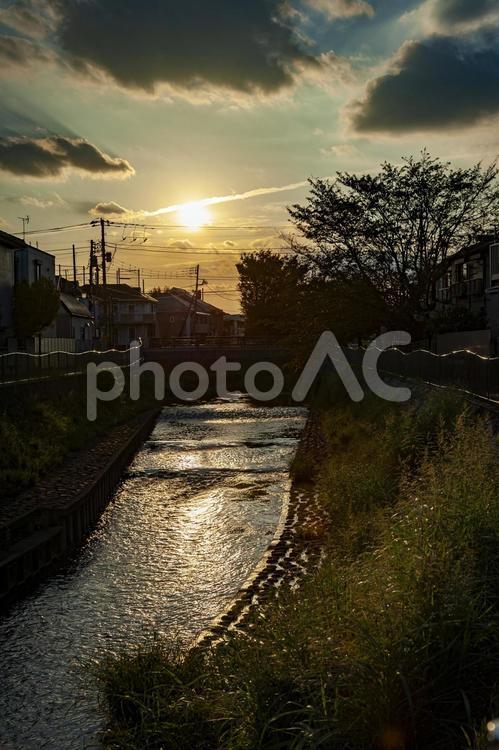 夕暮れ 夕暮れ,夕焼け,善福寺川の写真素材
